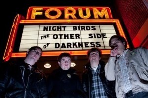 Night Birds