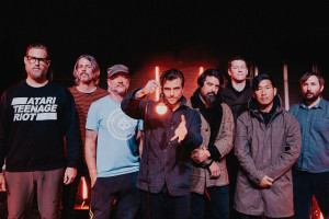 The Sound Of Animals Fighting