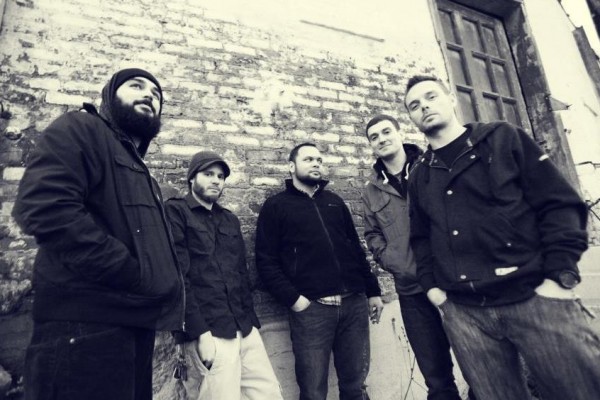 If These Trees Could Talk photographed by Sondra Kelly