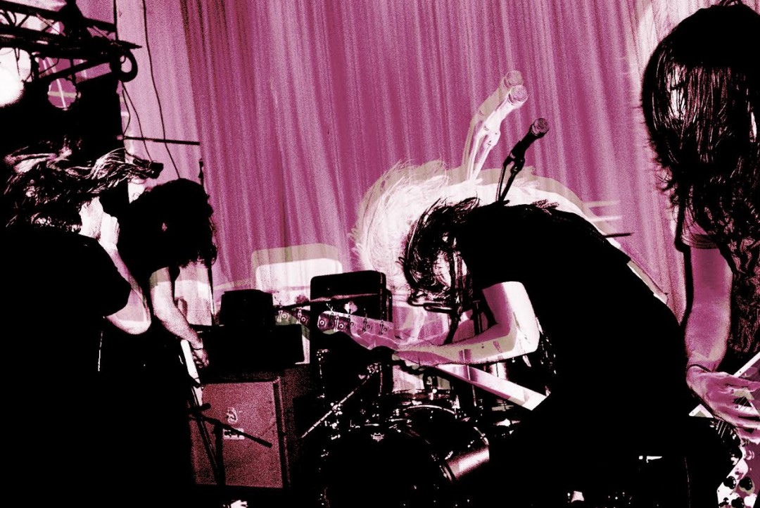 Noisem: "Replant and Repress"