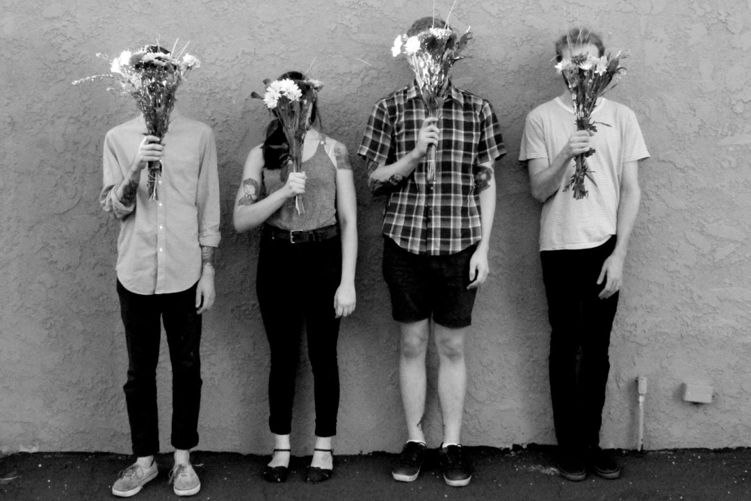 Pity Sex / Self Defense Family (east coast, midwest)