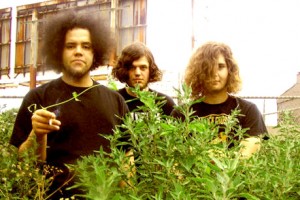 Lords