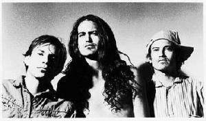 Meat Puppets