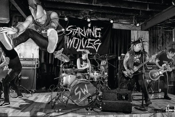Starving Wolves