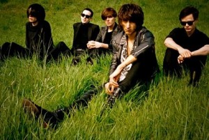 The Horrors
