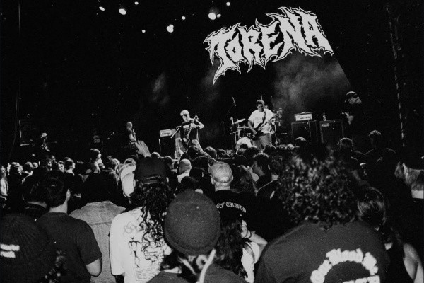 Torena