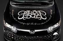Fall Out Boy: Honda Civic Tour
