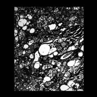 1971 - 1971 (Cover Artwork)