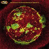 311 - From Chaos (Cover Artwork)