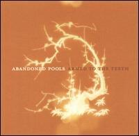 Abandoned Pools - Armed to the Teeth (Cover Artwork)