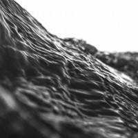 Acceptance - Wild [EP]