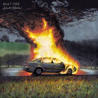 Adult Dude - Adult Moods (Cover Artwork)