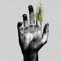 Alive in Wild Paint - Ceilings (Cover Artwork)