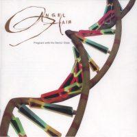 Angel Hair - Pregnant with the Senior Class (Cover Artwork)