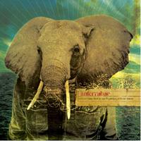 Anterrabae - And Our Heart Beat in Our Fingertips, Without Reason (Cover Artwork)