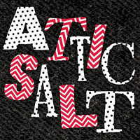Attic Salt - Attic Salt (Cover Artwork)