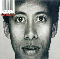 Bad Religion - The Gray Race