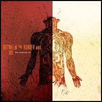 Between the Buried and Me - The Anatomy Of (Cover Artwork)