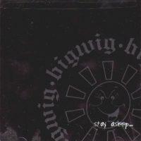 Bigwig - Stay Asleep