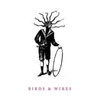 Birds & Wires - Birds & Wires [12 inch] (Cover Artwork)