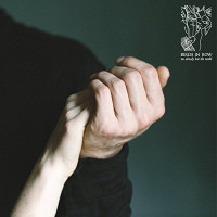 Birds in Row - We Already Lost the World (Cover Artwork)