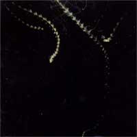 Call It Arson - Mothwash: The Old Flames [7 inch] (Cover Artwork)