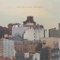 Capillary Action - Fragments