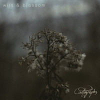 Cartographs - Wilt & Blossom (Cover Artwork)