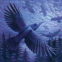 Casting Curses - Cold All Over Again [7-inch]