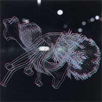 Cease Upon the Capitol - untitled (2006) (Cover Artwork)