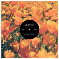 Ceremony - Vanity Spawned by Fear [12-inch]