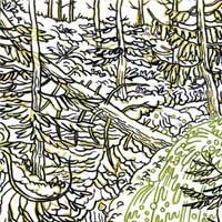 Chad VanGaalen - Diaper Island