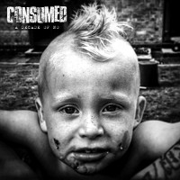 Consumed - A Decade of No