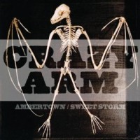 Crazy Arm - Ambertown / Sweet Storm