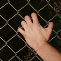 Culture Abuse - The Day Dreams of Nothing [EP]