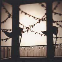 Decibully - City Of Festivals