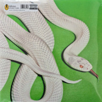 Deftones - Private Music