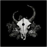 Demon Hunter - Summer of Darkness (Cover Artwork)