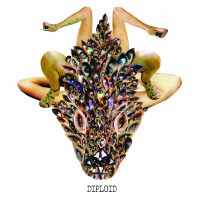 Diploid - Is God Up There? (Cover Artwork)