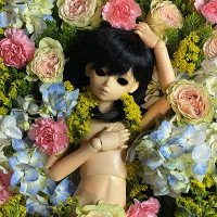 Dollhouse - The First Day of Spring [EP]