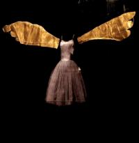 Dropsonic - Insects With Angel Wings (Cover Artwork)