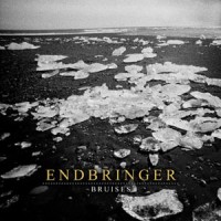 Endbringer - Bruises [7-inch] (Cover Artwork)