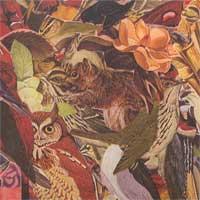 Everlovely Lightningheart - Everlovely Lightningheart (Cover Artwork)