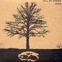 Fall of Efrafa - OWSLA (Cover Artwork)