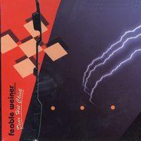 Feable Weiner - Dear Hot Chick (Cover Artwork)