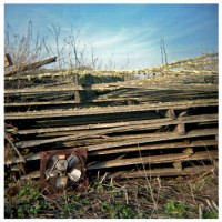 Fell to Low - The Frontier Wit [10-inch] (Cover Artwork)