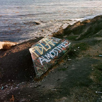 FIDLAR - Almost Free (Cover Artwork)