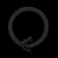 Fokofpolisiekar - Selfmedikasie (Cover Artwork)