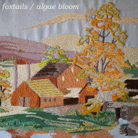 Foxtails/Algae Bloom - Split (Cover Artwork)