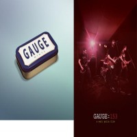Gauge - Mints [7-inch] / Gauge : 153 DVD (Cover Artwork)